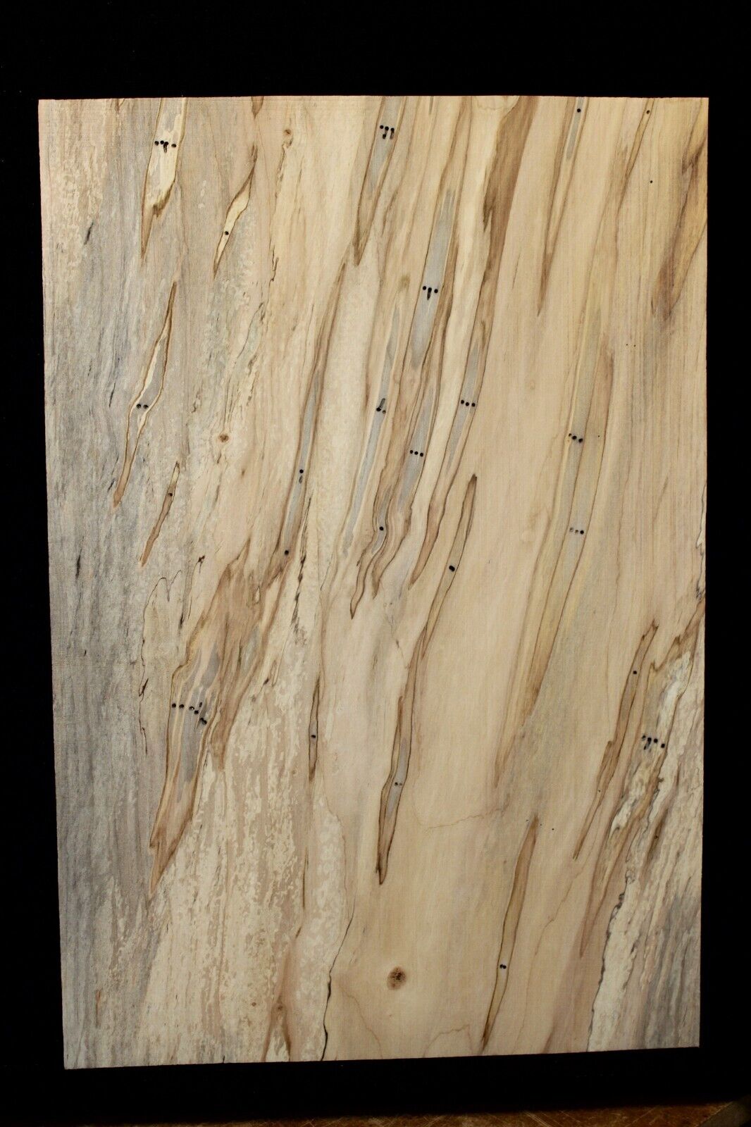 Spalted ambrosia maple one piece guitar top.