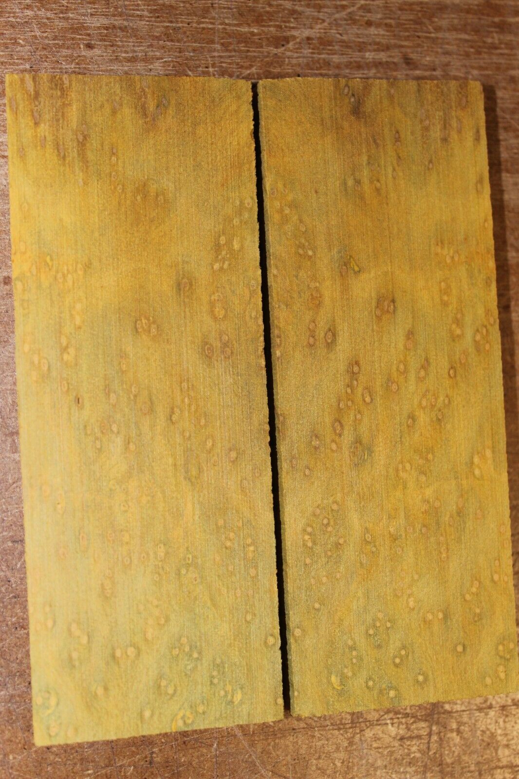 Golden Amboyna burl knife scale, gun grip. 5 X 1 7/8 X 3/8"