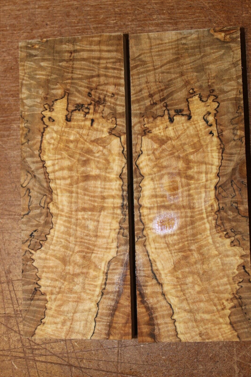 Curly ambrosia maple knife scale, gun grip. Insane tight figure 5.5 X 2 X 0.40"