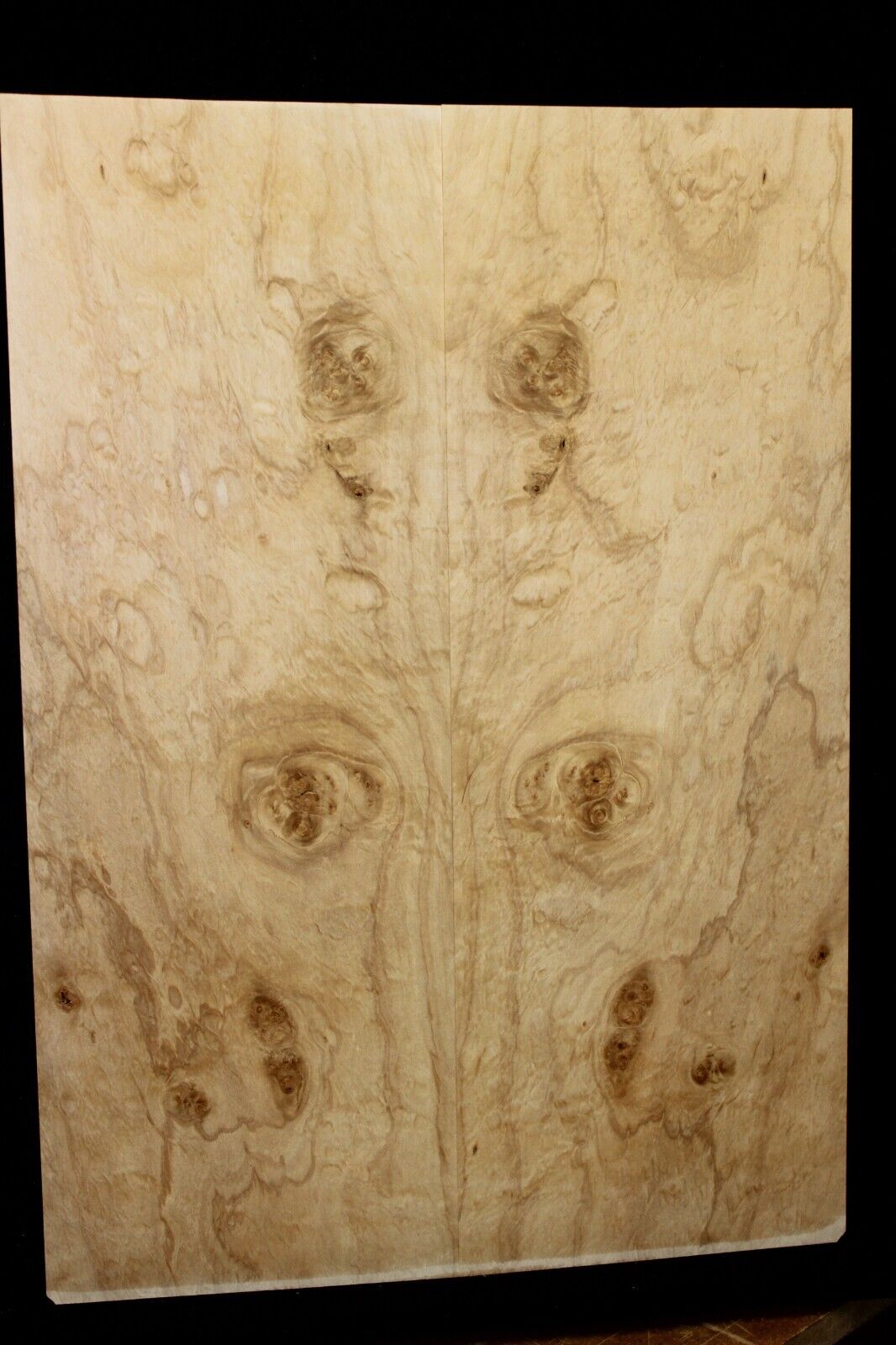 Silver maple, burl / lace figured guitar book matched top.