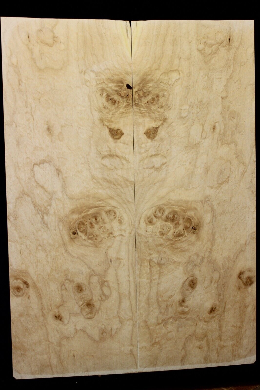 Silver maple, burl / lace figured guitar book matched top.