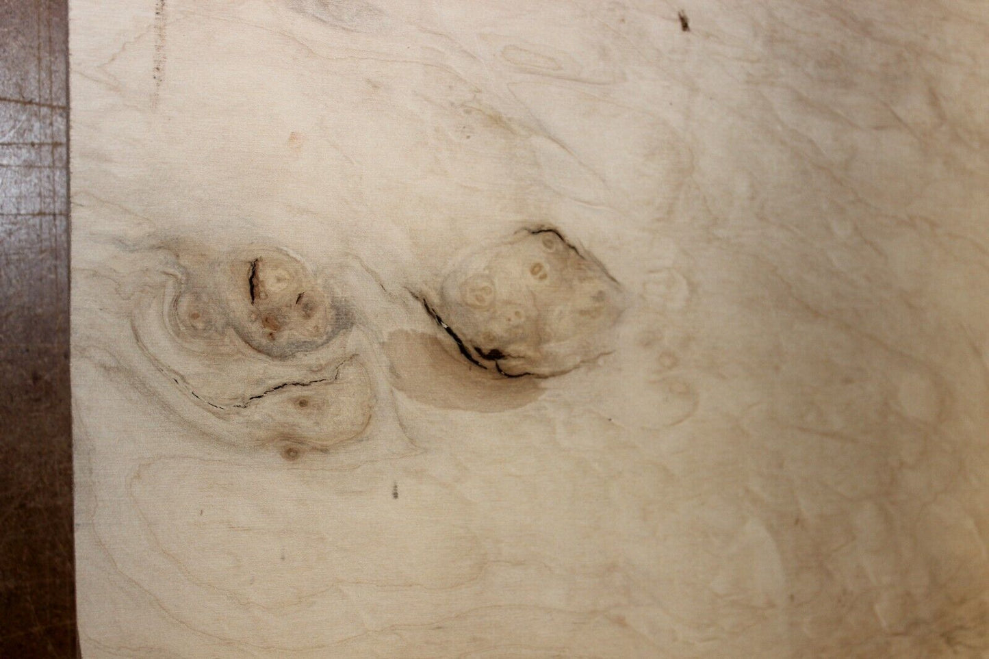 Silver maple bowl blank with blister figure 13 X 13 X 2.25"