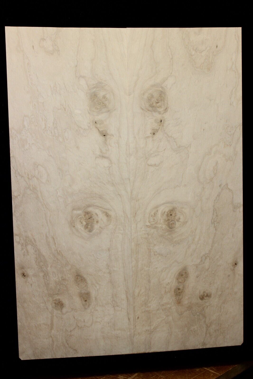 Silver maple, burl / lace figured guitar book matched top.