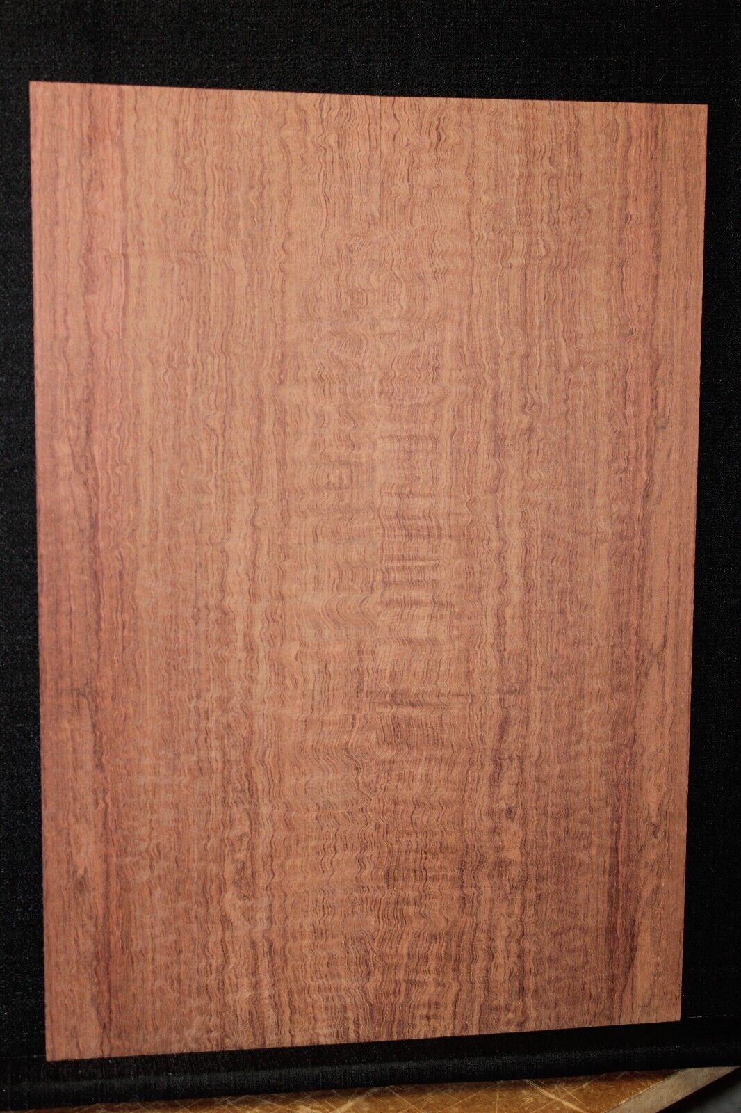 Figured bubinga electric guitar drop top. Curly / pomelle figure & rich color.