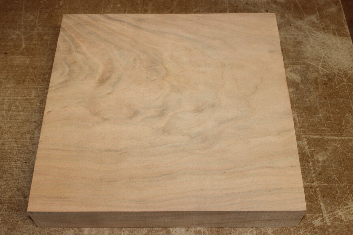 Black cherry bowl blank 12 X 12 X 2"