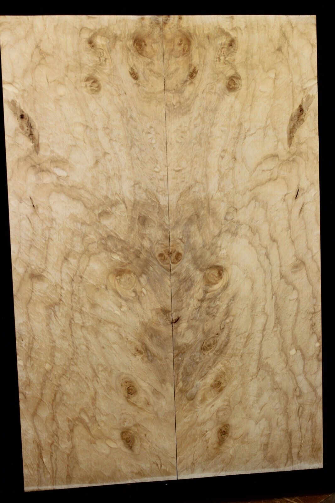 Silver maple, burl / lace figured guitar book matched top.