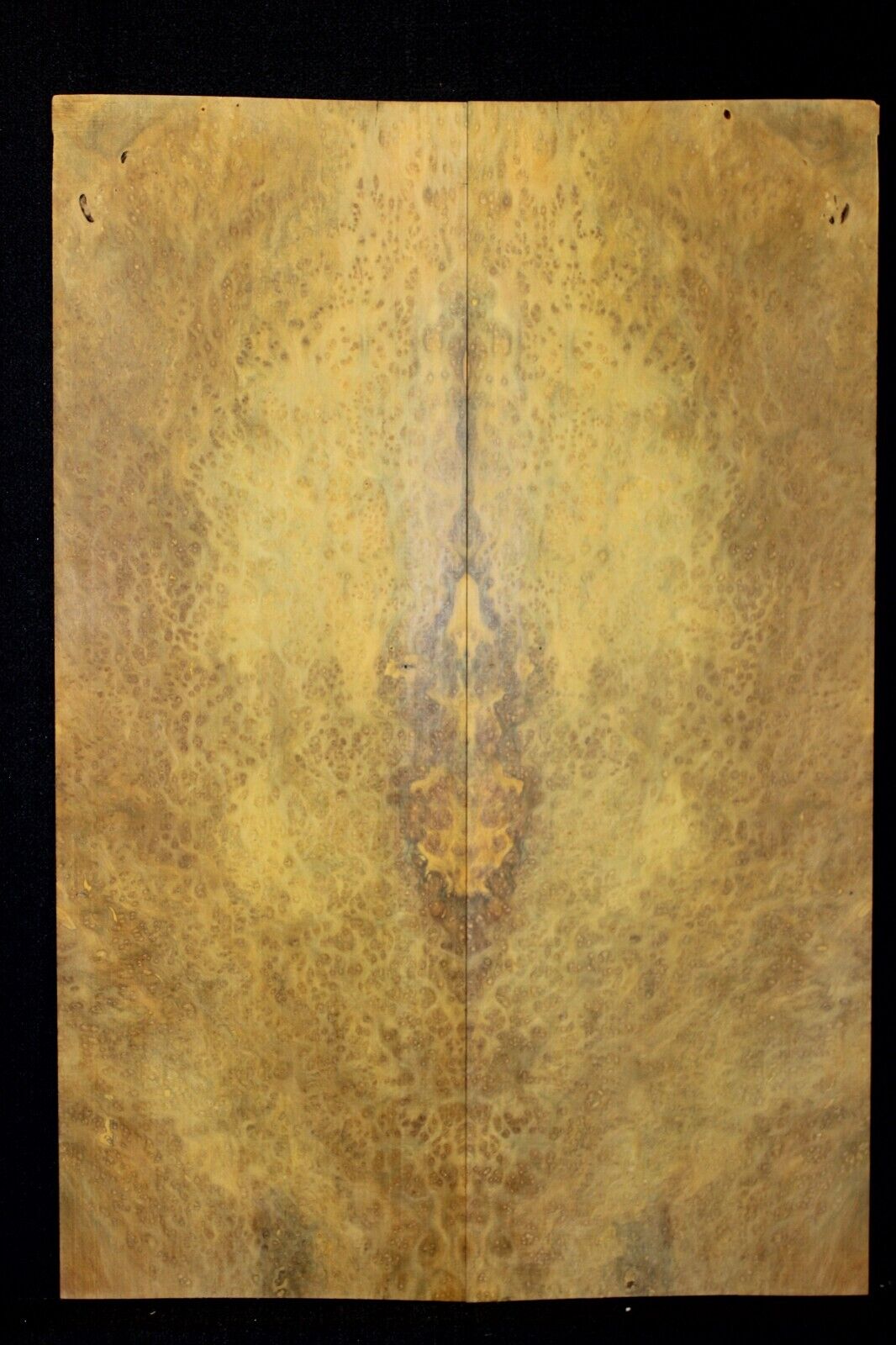 Golden Amboyna burl book matched guitar top.