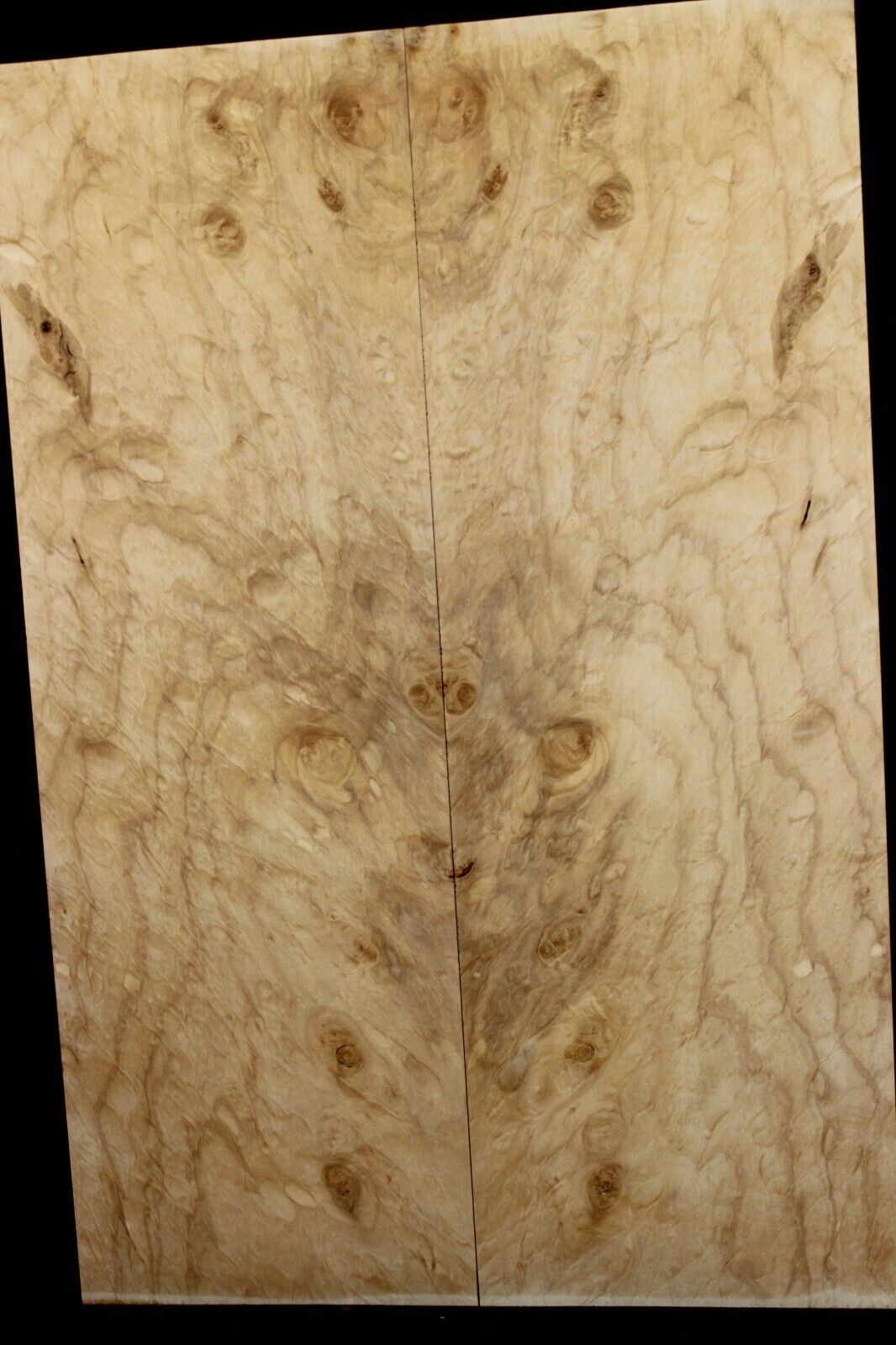 Silver maple, burl / lace figured guitar book matched top.