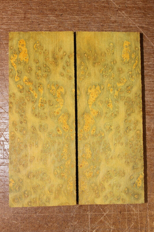 Golden Amboyna burl knife scale, gun grip. 5  X 1 7/8 X 3/8"