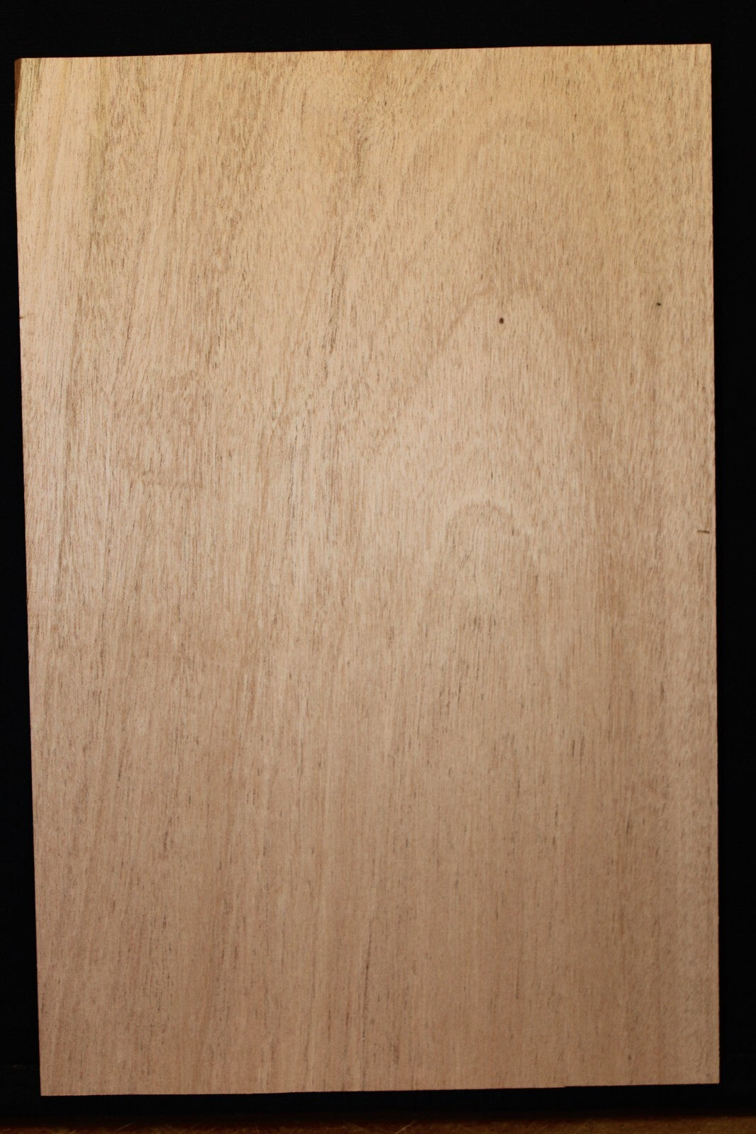 African mahogany / khaya guitar body blank 1pc. B grade with flaws / paint grade