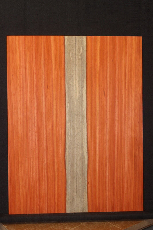 Padauk electric guitar top with white sapwood. Beautiful set.
