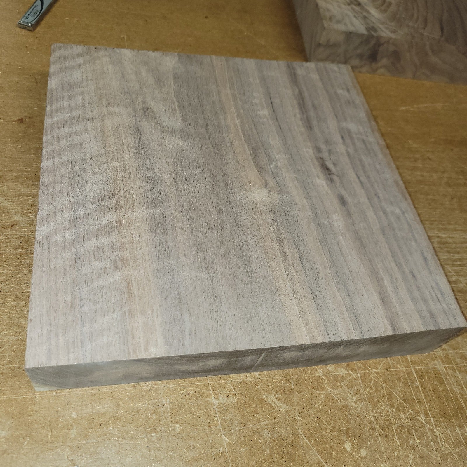 Black walnut bowl blank, 11 X 11 X 2"