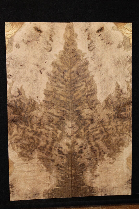 Smoked Scottish oak burl book matched guitar top.  Personal stash piece.