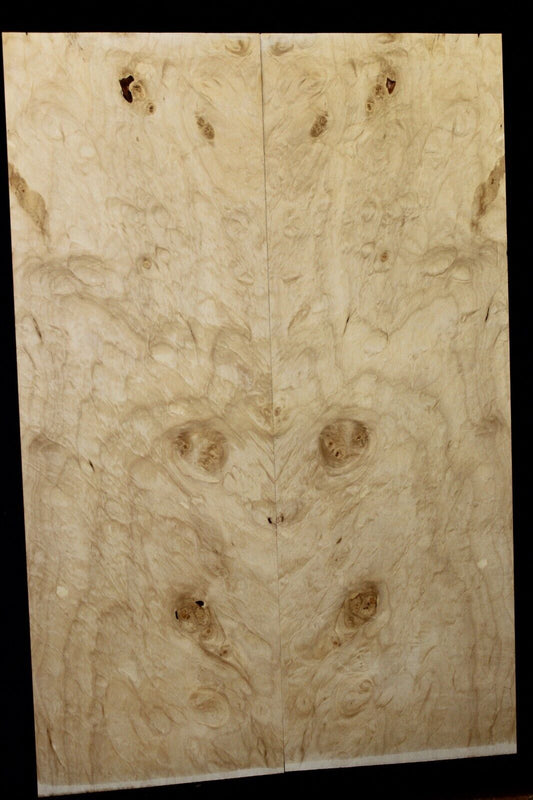 Silver maple, burl / lace figured guitar book matched top.