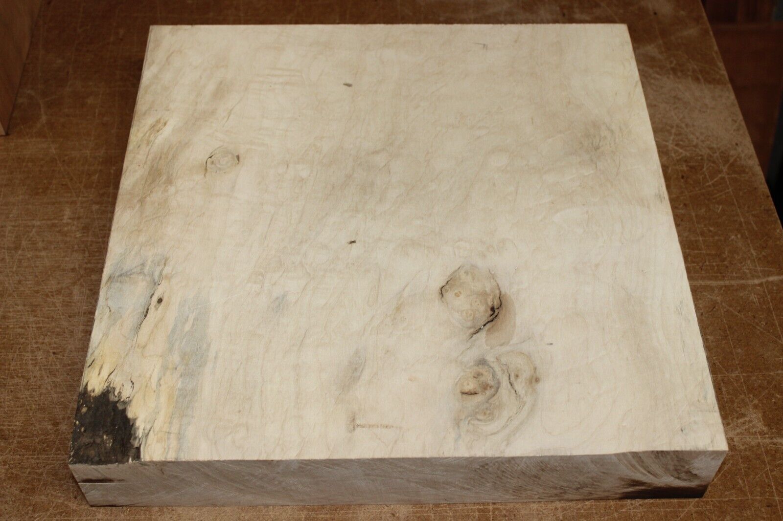 Silver maple bowl blank with blister figure 13 X 13 X 2.25"