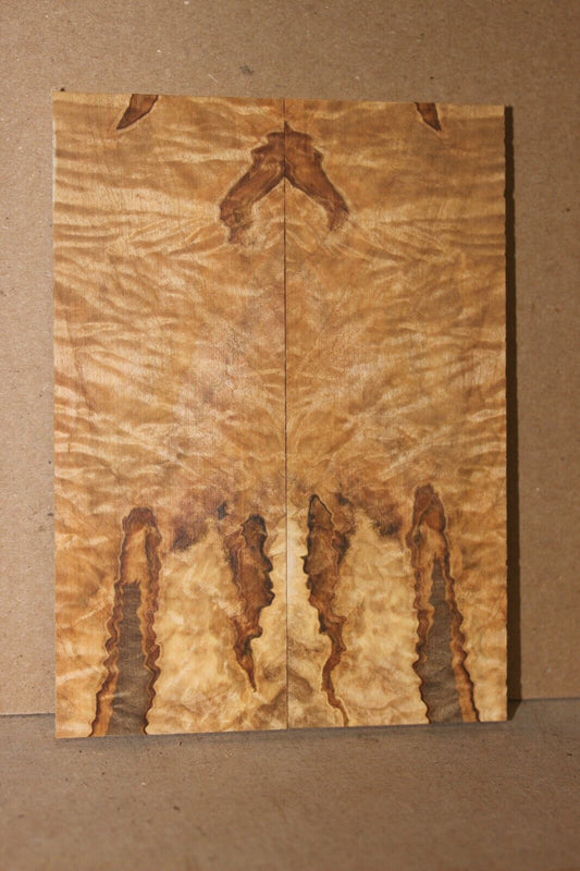 Curly ambrosia maple knife scale, gun grip. Insane tight figure 5.75 X 2 X 3/8"