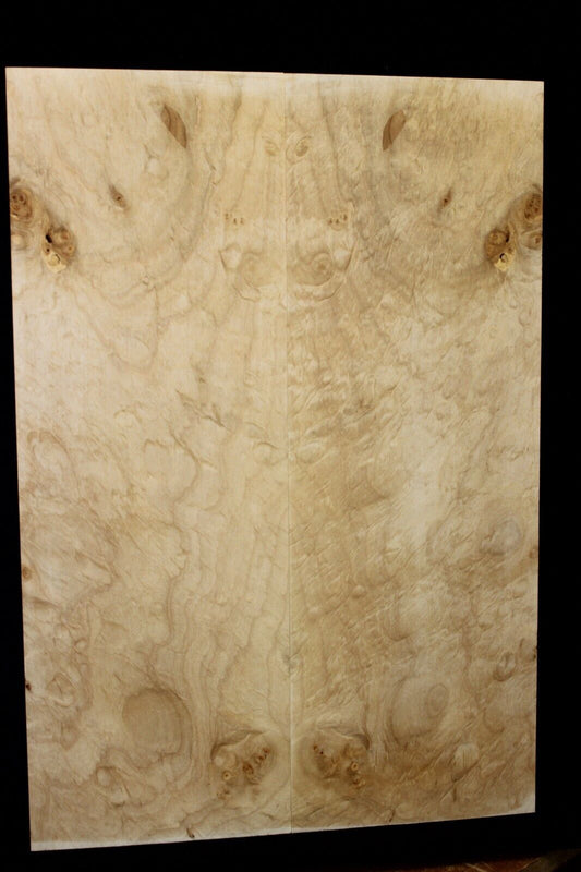 Silver maple, burl / lace figured guitar book matched top.