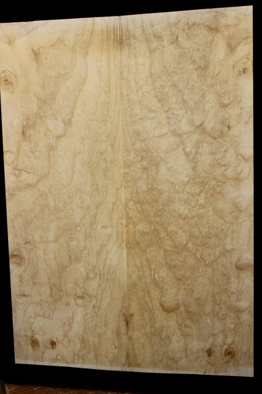 Silver maple, burl / lace figured guitar book matched top.
