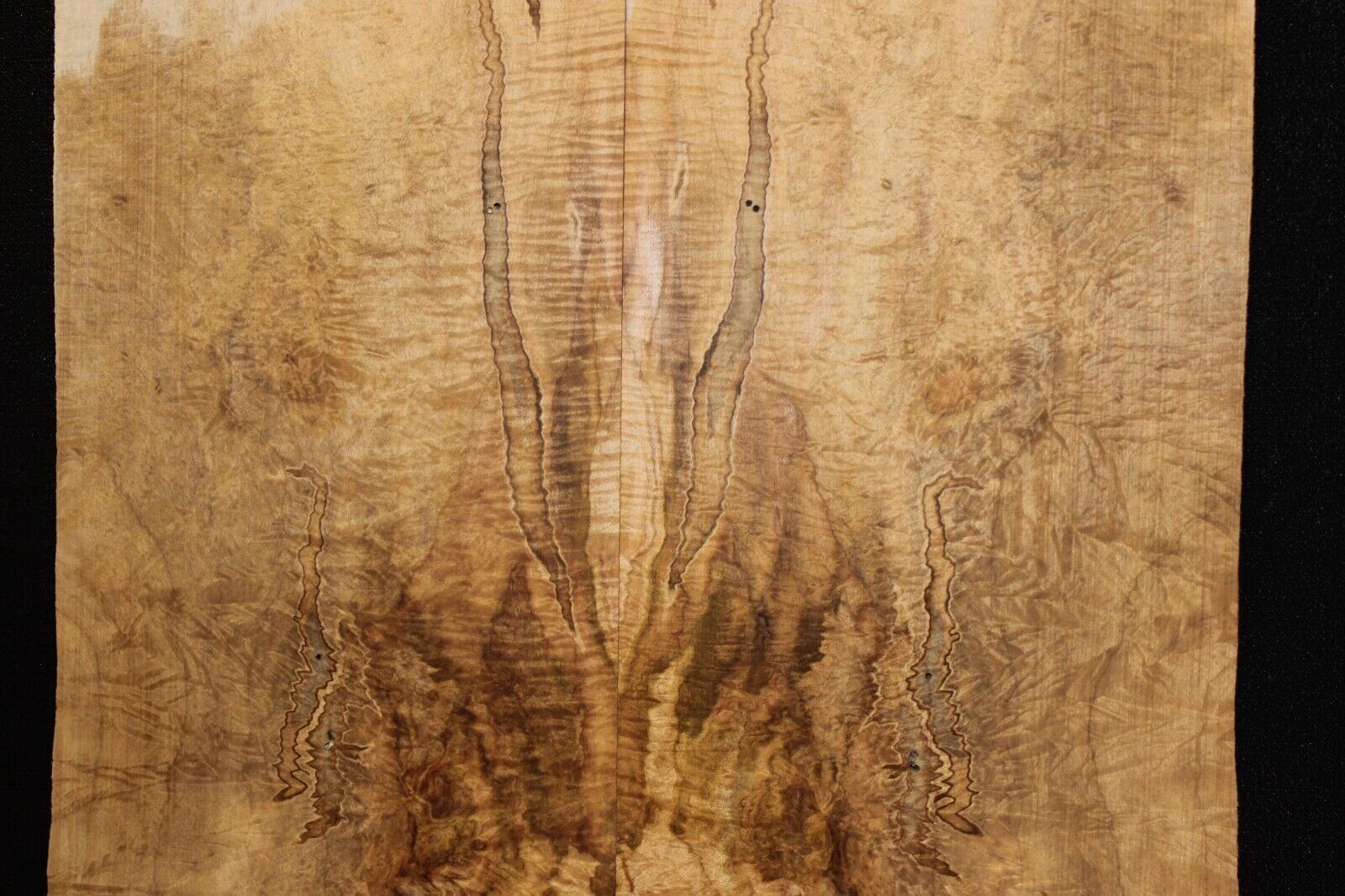 Figured ambrosia maple bookmatched guitar top, insane figure and color.