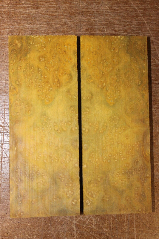 Golden Amboyna burl knife scale, gun grip. 5  X 1 7/8 X 3/8"