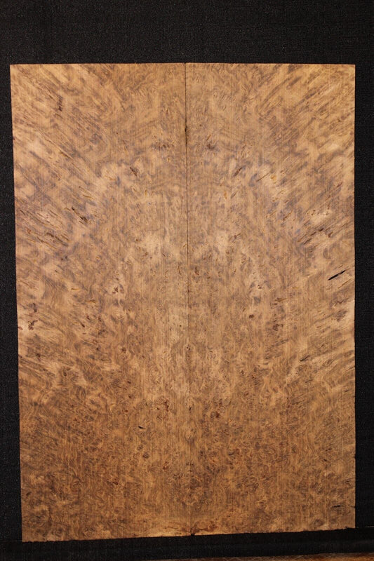 Smoked Scottish oak burl book matched guitar top.  Personal stash piece.