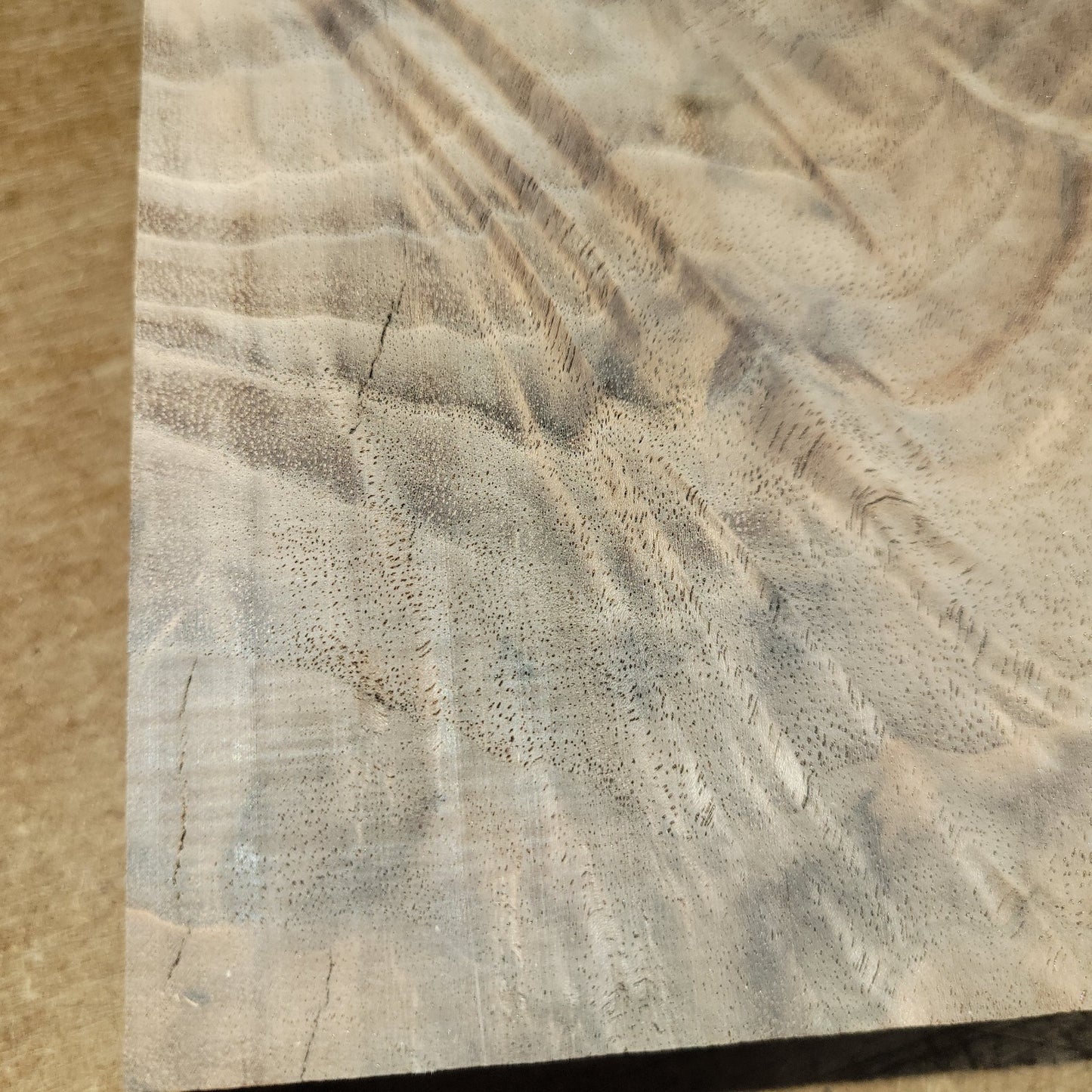 Black walnut bowl blank, 11 X 11 X 1.90"