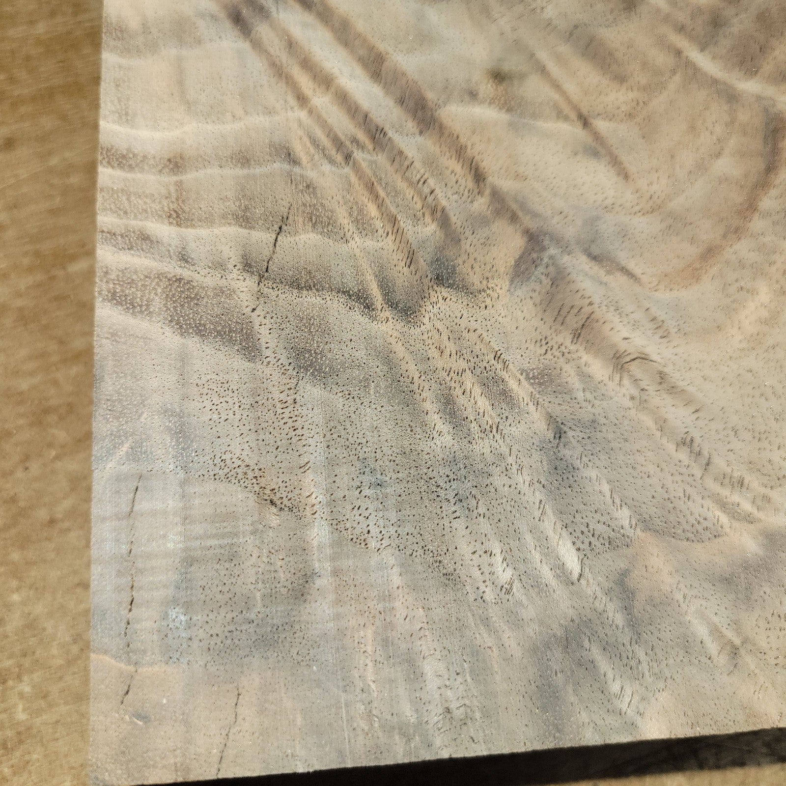 Black walnut bowl blank, 11 X 11 X 1.90"