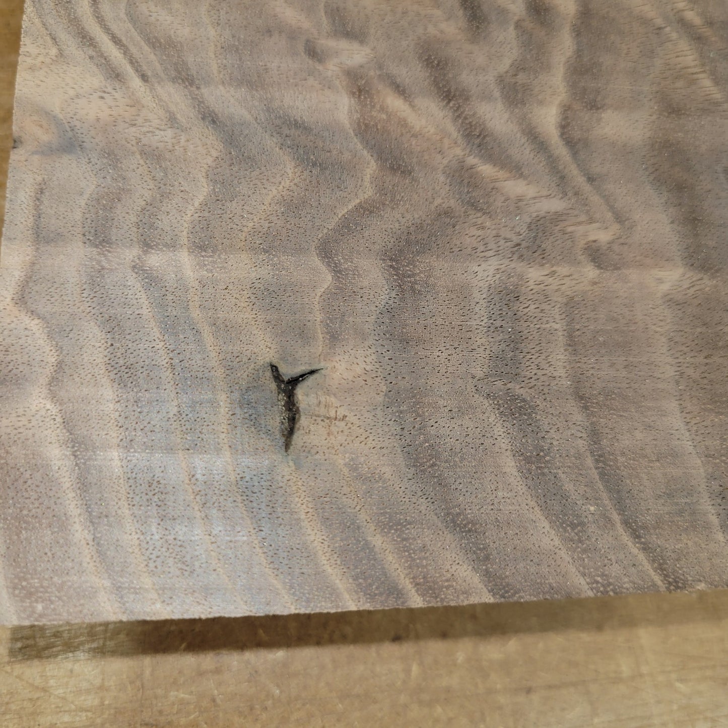 Black walnut bowl blank, 11 X 11 X 1.90"