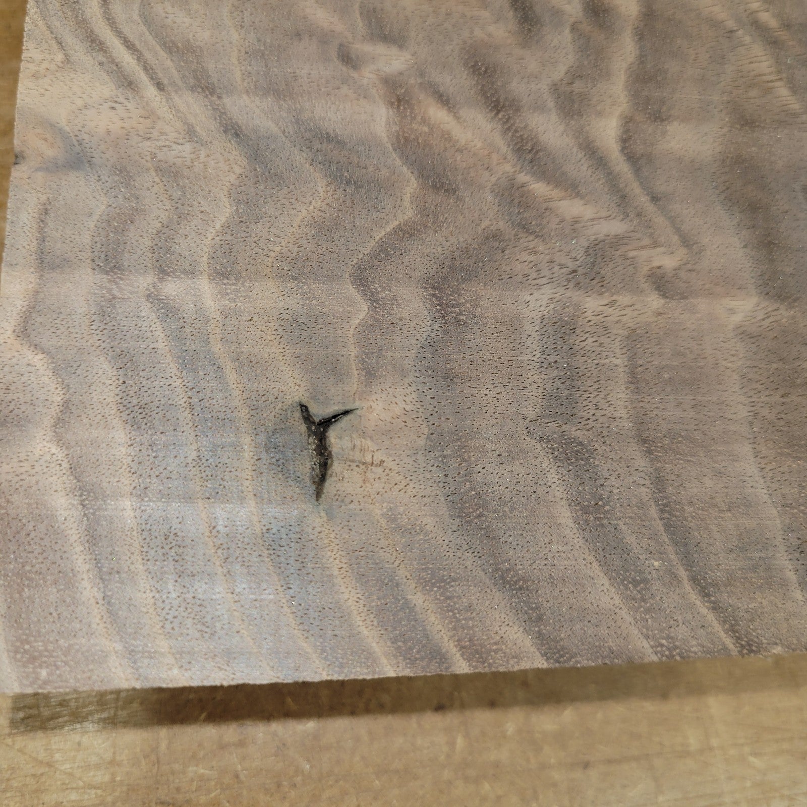 Black walnut bowl blank, 11 X 11 X 1.90"