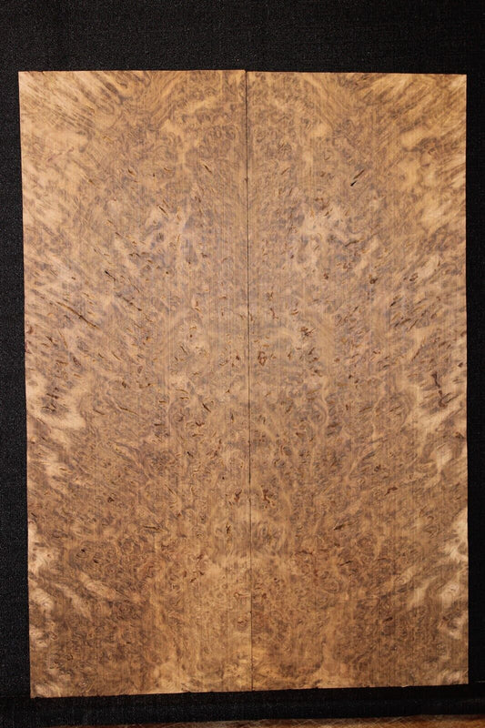 Smoked Scottish oak burl book matched guitar top.  Personal stash piece.