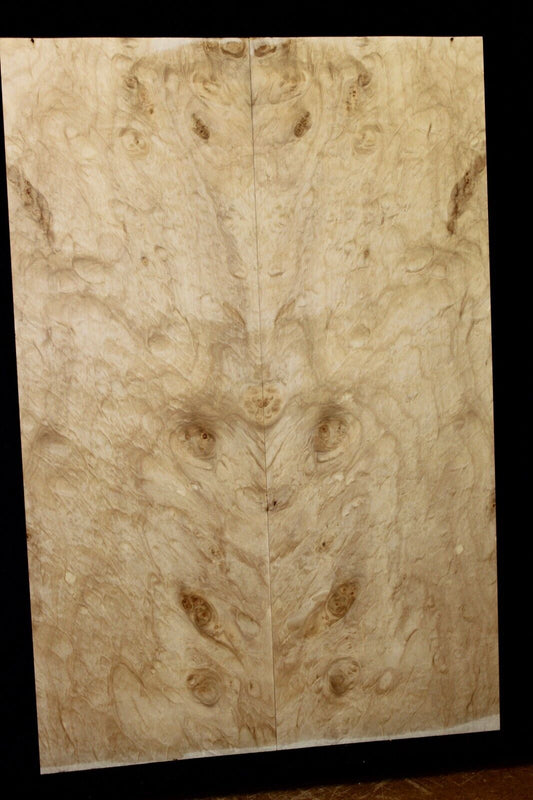 Silver maple, burl / lace figured guitar book matched top.