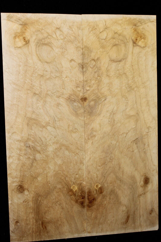 Silver maple, burl / lace figured guitar book matched top.