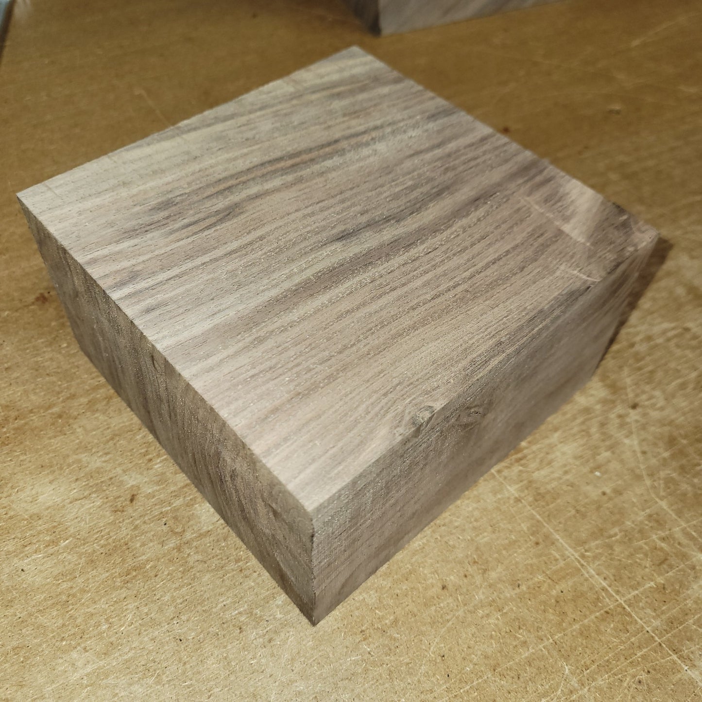 Black walnut bowl blank, 5.5 X 5.5 X 3.25