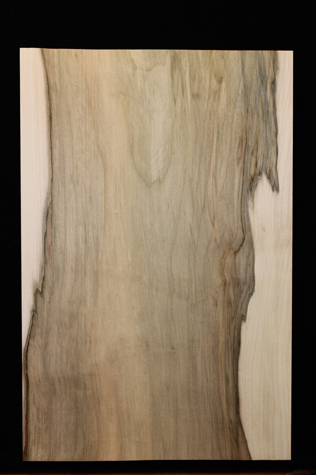 Ambrosia maple guitar body blank 1pc.