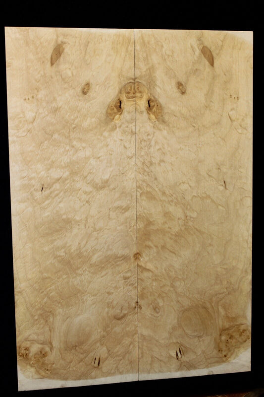 Silver maple, burl / lace figured guitar book matched top.
