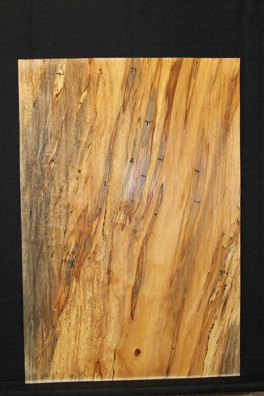 Spalted ambrosia maple one piece guitar top.