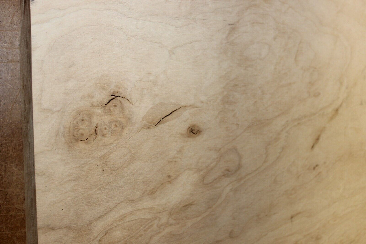 Silver maple bowl blank with blister figure 13 X 13 X 2.25"