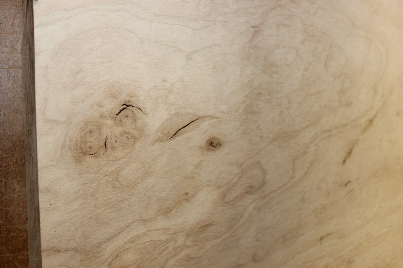 Silver maple bowl blank with blister figure 13 X 13 X 2.25"