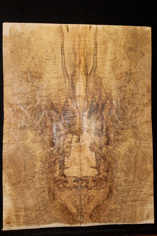Figured ambrosia maple bookmatched guitar top, insane figure and color.
