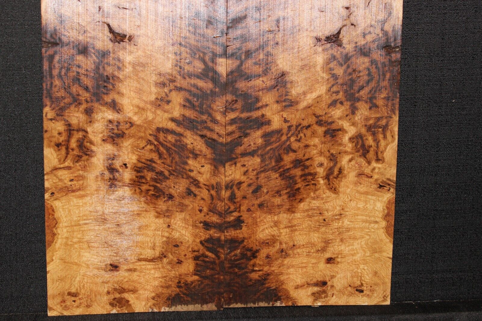 Smoked Scottish oak burl book matched guitar top.  Personal stash piece.