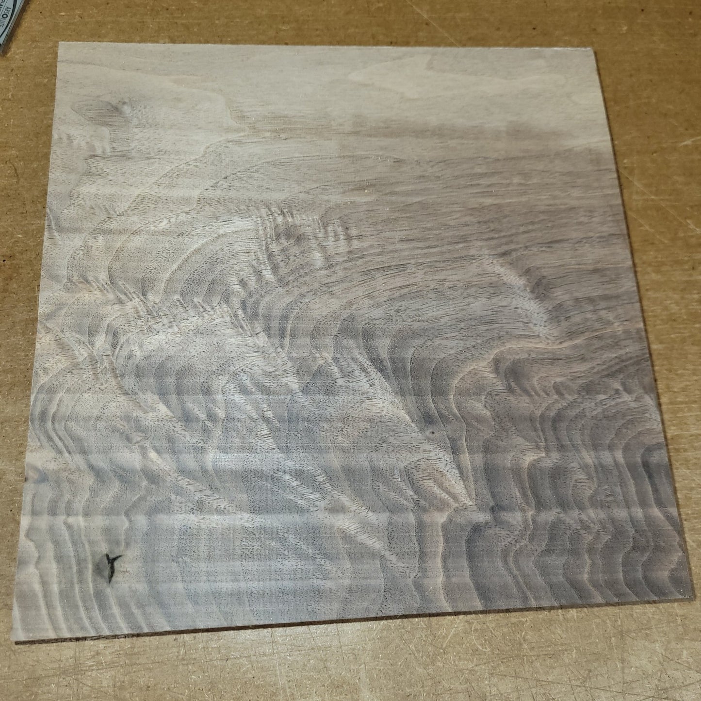 Black walnut bowl blank, 11 X 11 X 1.90"