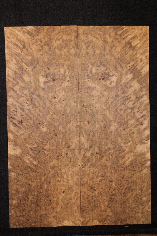 Smoked Scottish oak burl book matched guitar top.  Personal stash piece.