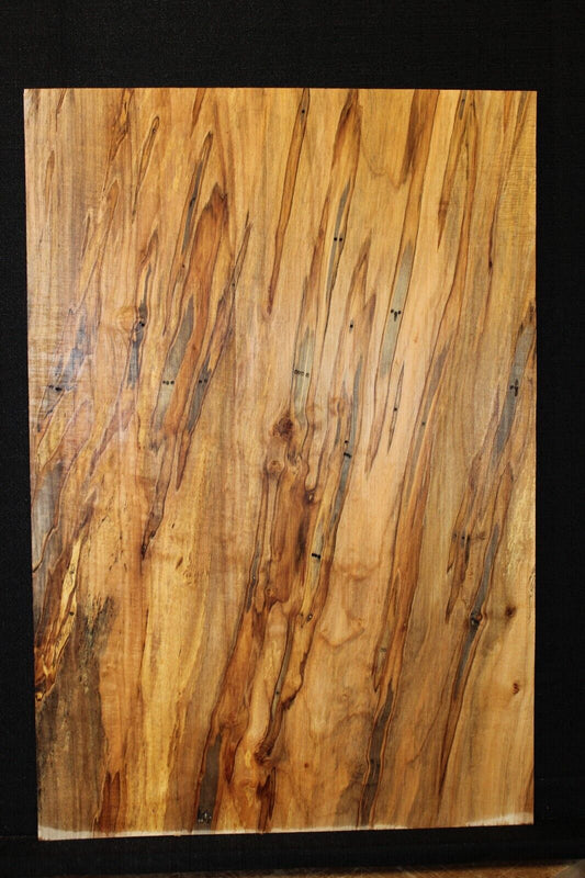 Spalted ambrosia maple one piece guitar top.