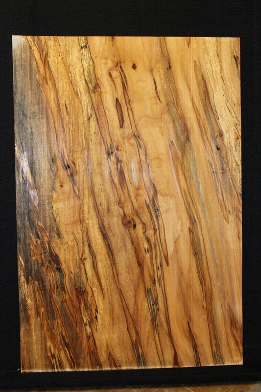 Spalted ambrosia maple one piece guitar top.