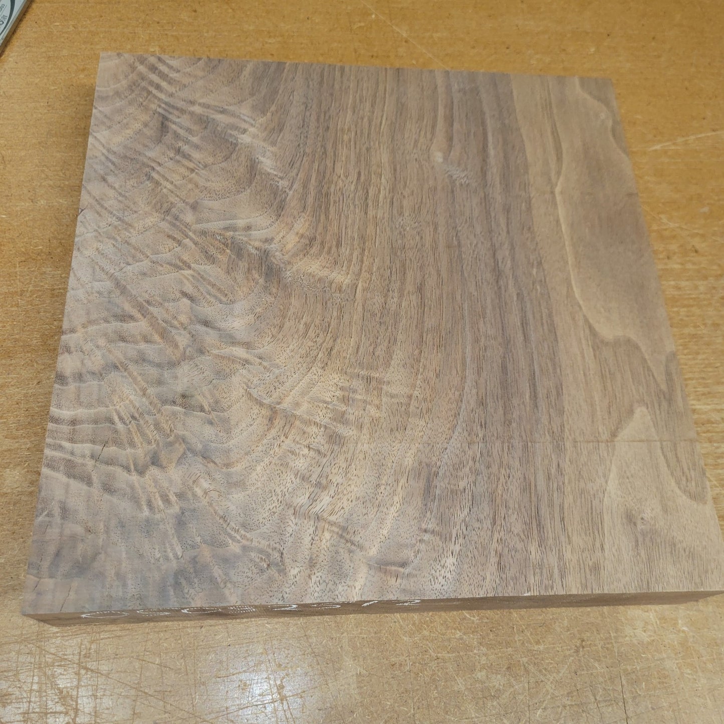 Black walnut bowl blank, 11 X 11 X 1.90"