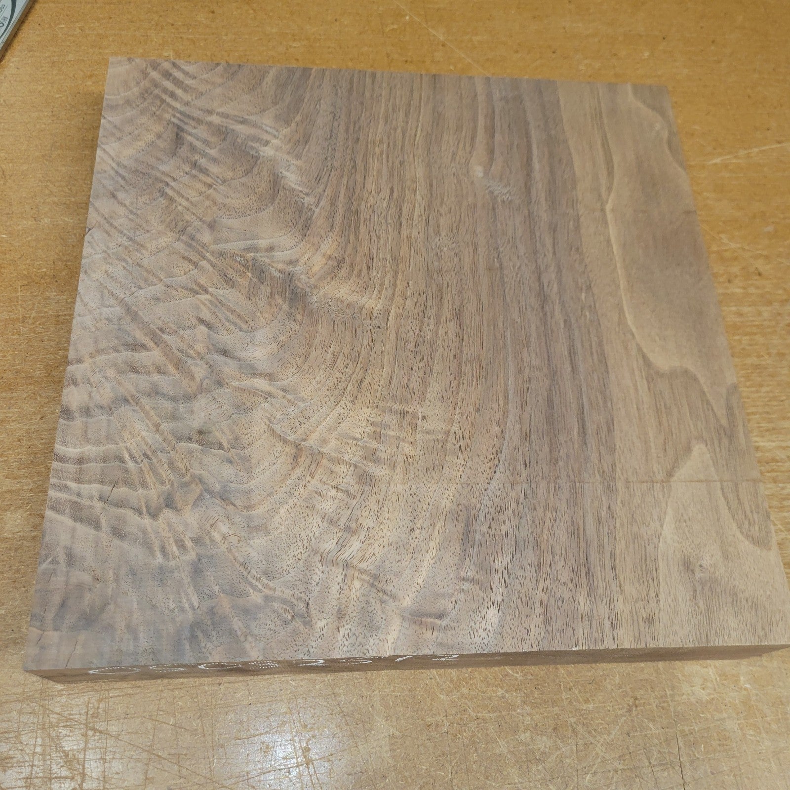 Black walnut bowl blank, 11 X 11 X 1.90"
