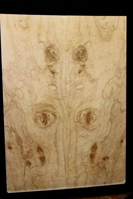 Silver maple, burl / lace figured guitar book matched top.