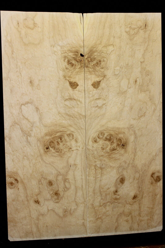 Silver maple, burl / lace figured guitar book matched top.