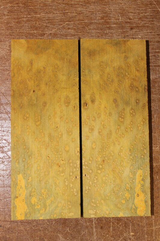 Golden Amboyna burl knife scale, gun grip. 5  X 1 7/8 X 3/8"