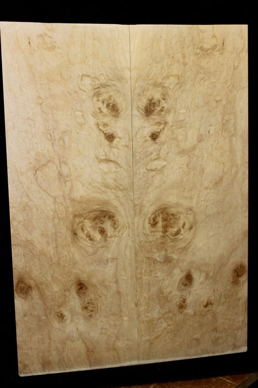 Silver maple, burl / lace figured guitar book matched top.